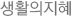 생활의지혜
